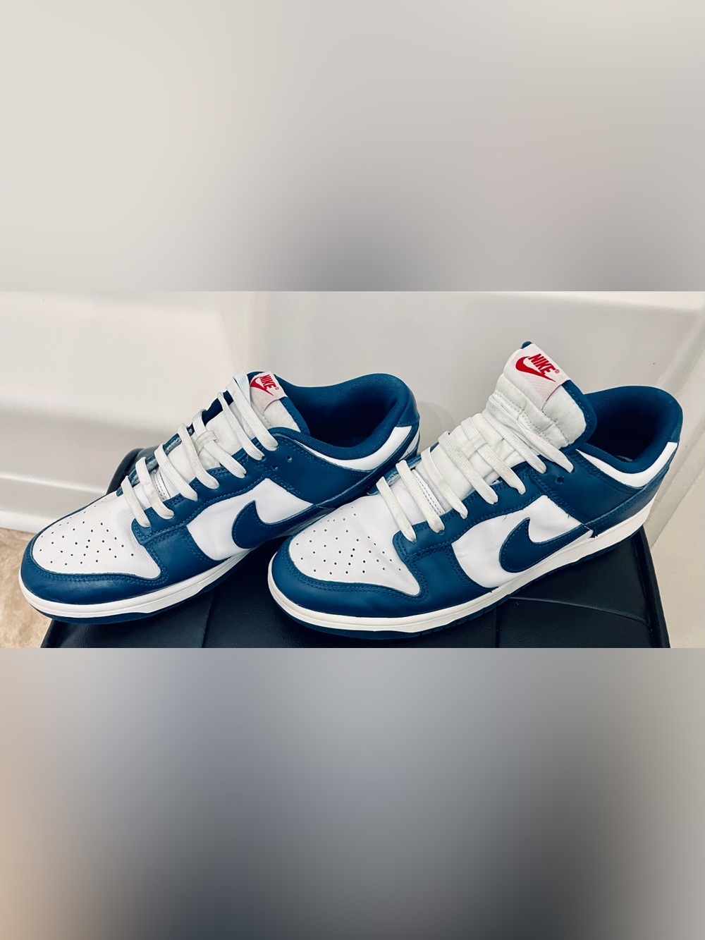 Nike Dunk Low Retro Valerian Blue and White Low-Top Sneakers with Red Logo